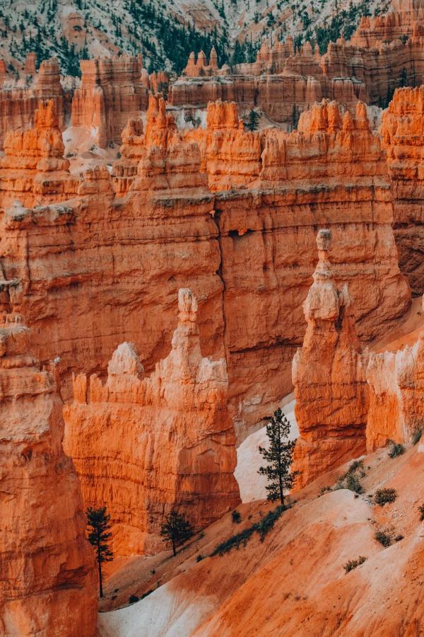 Wander Camp Bryce Canyon - Escalante Cannonville Dış mekan fotoğraf